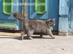 Photo by Olena Krushynska, May 2007