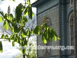 Photo by Olena Krushynska, May 2007