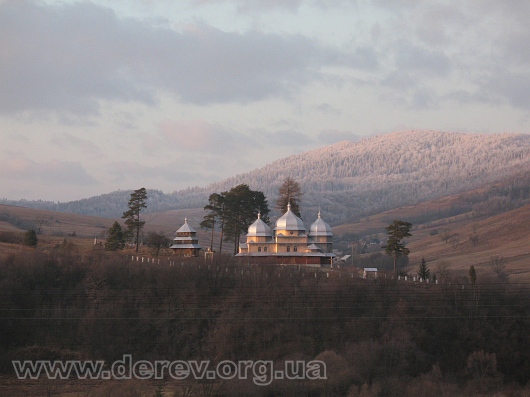 Фото Олени Крушинської, листопад 2011 р.