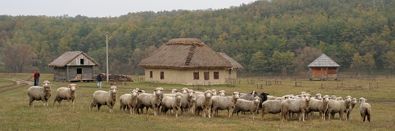 Фото Олени Крушинської, жовтень 2008 р.