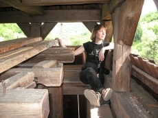  2008,  