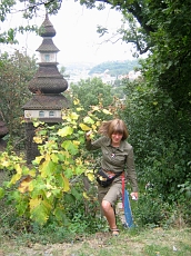  2008, 