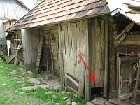 Фото Олени Крушинської, червень 2008 р.