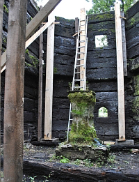   2010 .